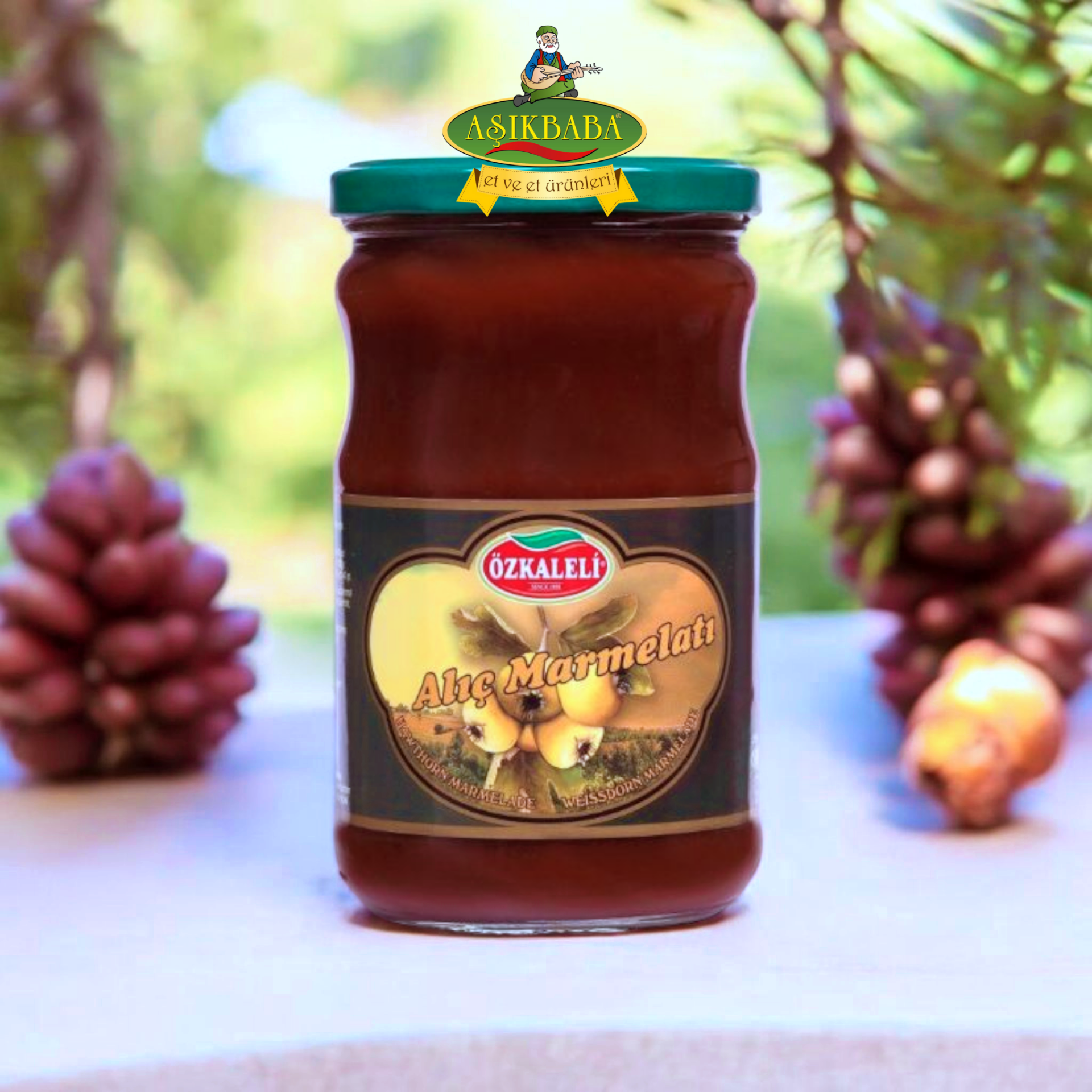 ÖZKALELİ ALIÇ MARMELATI 800GR